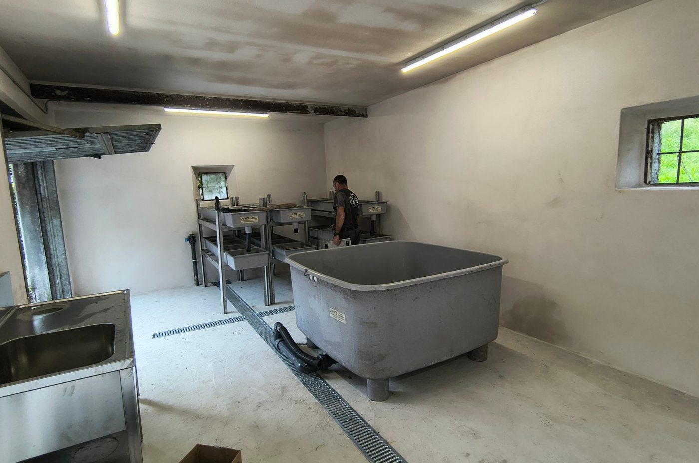Un NUOVO incubatoio