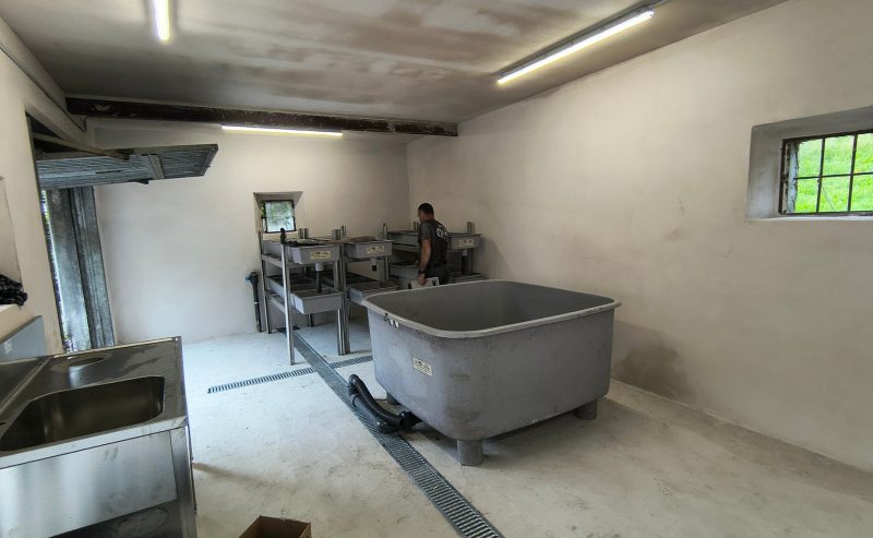 Un NUOVO incubatoio